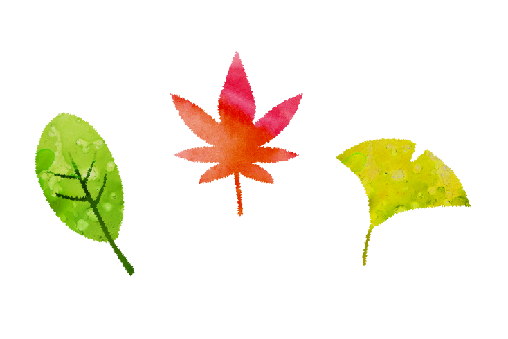 秋のイメージ画像